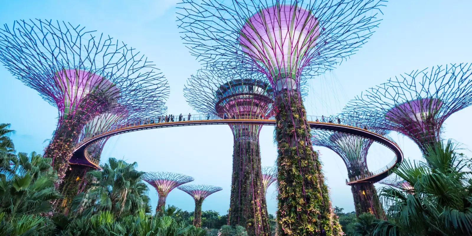 Gardens by the Bay
