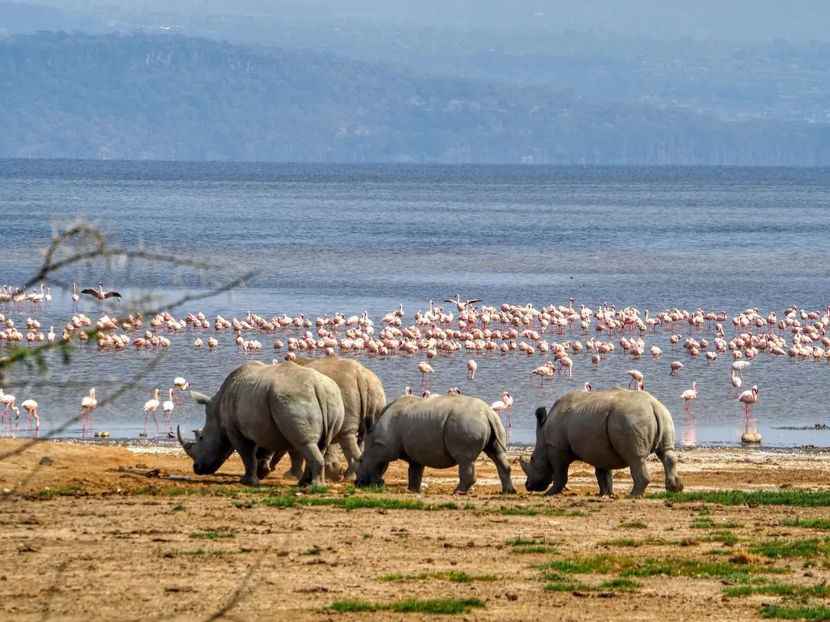 Lake Nakuru