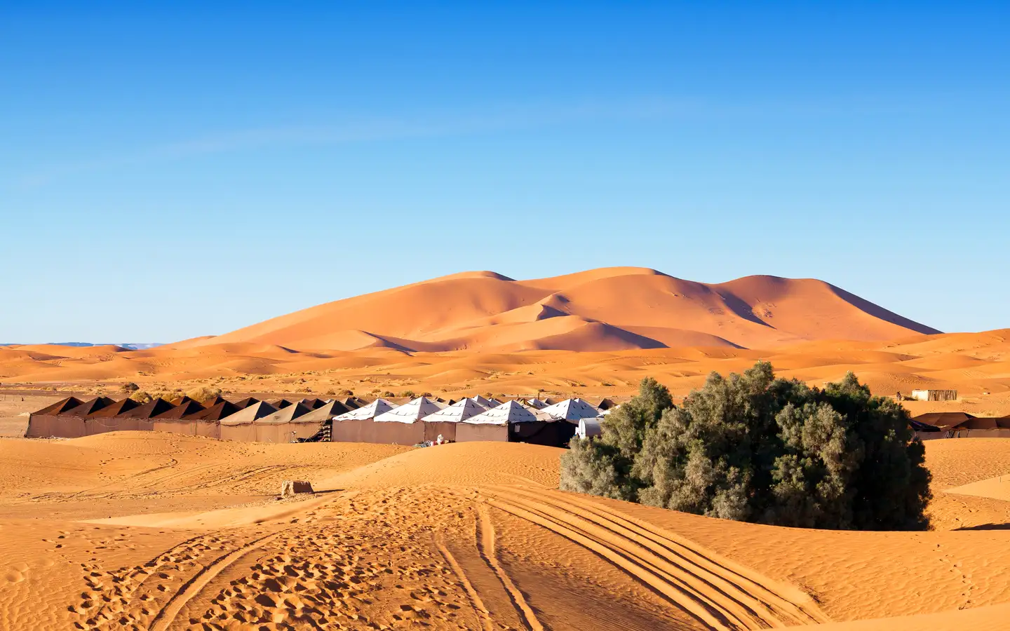 Sahara Desert