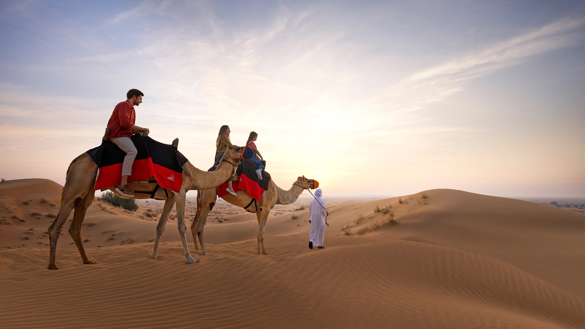 Dubai Desert Conservation Safari
