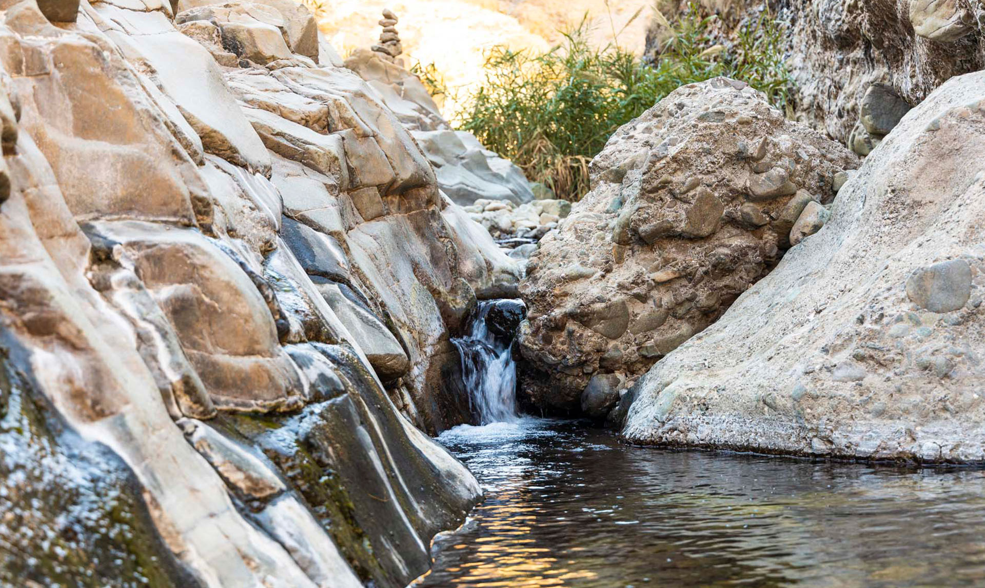 Wadi Wurayah National Park & Falls