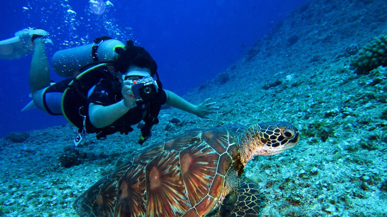 Ari Atoll Oceanic Adventures