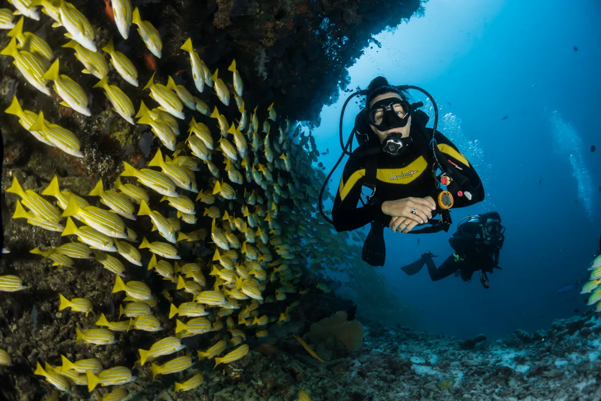 Subaquatic & Reef Wellness