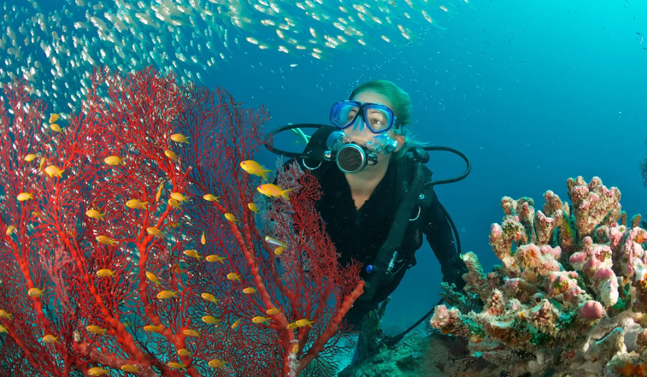 Curieuse Island & Marine Sanctuary
