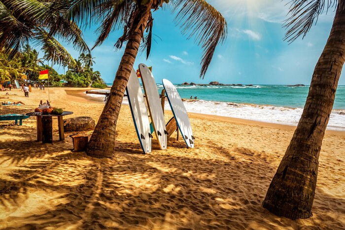 Bentota Golden Beaches & River Safaris